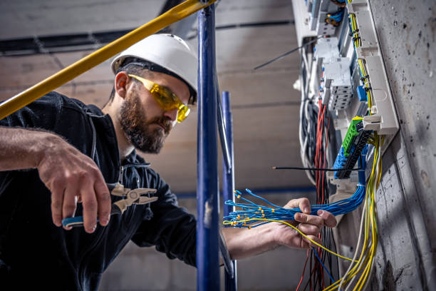 Best Electrician for Home Renovation  in Wilton, IA