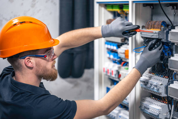 Best Electric Panel Repair  in Wilton, IA